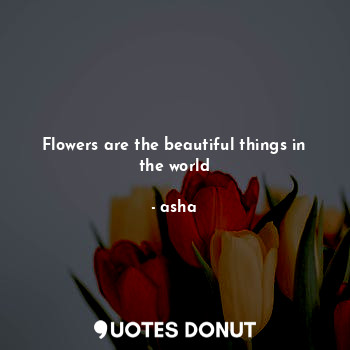  Flowers are the beautiful things in the world... - asha - Quotes Donut