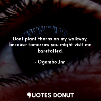  Dont plant thorns on my walkway, because tomorrow you might visit me barefotted.... - Ogembo Jnr - Quotes Donut
