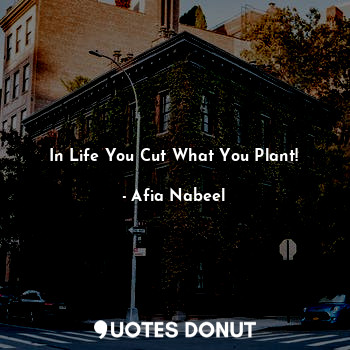 In Life You Cut What You Plant!