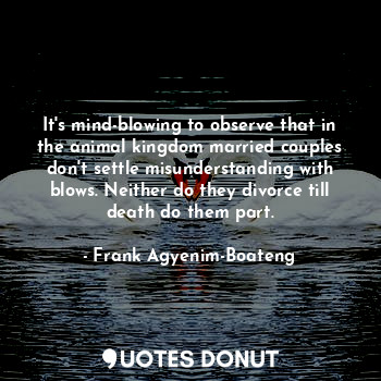  It's mind-blowing to observe that in the animal kingdom married couples don't se... - Frank Agyenim-Boateng - Quotes Donut