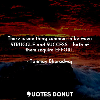 There is one thing common in between STRUGGLE and SUCCESS..... both of them require EFFORT.