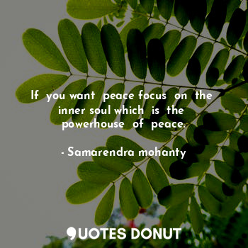  If  you want  peace focus  on  the  inner soul which  is  the  powerhouse  of  p... - Samarendra mohanty - Quotes Donut
