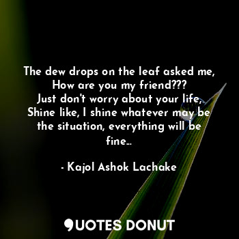  The dew drops on the leaf asked me,
How are you my friend???
Just don't worry ab... - Kajol Ashok Lachake - Quotes Donut
