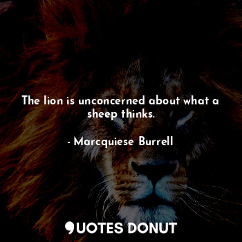 The lion is unconcerned about what a sheep thinks.