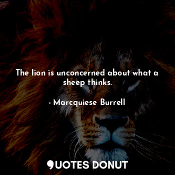  The lion is unconcerned about what a sheep thinks.... - Marcquiese Burrell - Quotes Donut