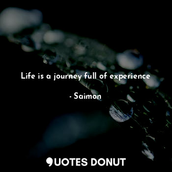 Life is a journey full of experience