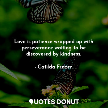  Love is patience wrapped up with perseverance waiting to be discovered by kindne... - Catilda Frazer - Quotes Donut