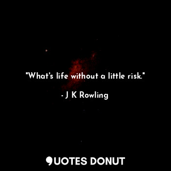 "What's life without a little risk."