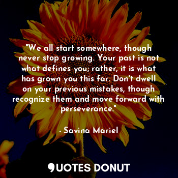  "We all start somewhere, though never stop growing. Your past is not what define... - Savina Mariel - Quotes Donut