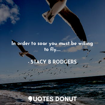 In order to soar you must be willing to fly.....