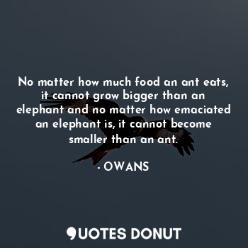  No matter how much food an ant eats, it cannot grow bigger than an elephant and ... - OWANS - Quotes Donut