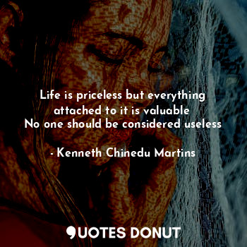  Life is priceless but everything attached to it is valuable 
No one should be co... - Kenneth Chinedu Martins - Quotes Donut