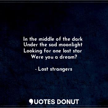  In the middle of the dark 
Under the sad moonlight 
Looking for one lost star 
W... - Lost strangers - Quotes Donut