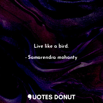 Live like a bird.