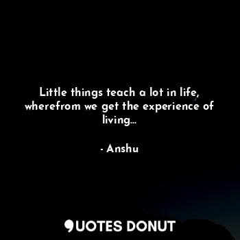  Little things teach a lot in life, wherefrom we get the experience of living...... - Anshu - Quotes Donut