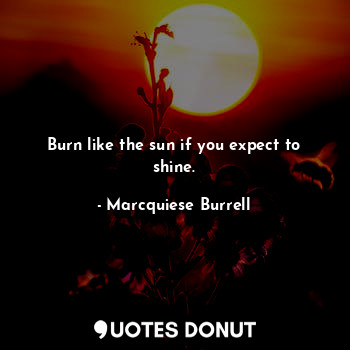  Burn like the sun if you expect to shine.... - Marcquiese Burrell - Quotes Donut