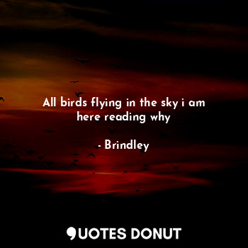 All birds flying in the sky i am here reading why