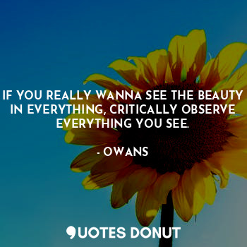  IF YOU REALLY WANNA SEE THE BEAUTY IN EVERYTHING, CRITICALLY OBSERVE EVERYTHING ... - OWANS - Quotes Donut