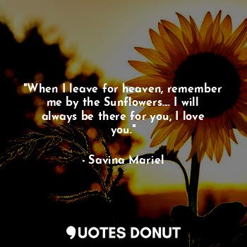  "When I leave for heaven, remember me by the Sunflowers.... I will always be the... - Savina Mariel - Quotes Donut