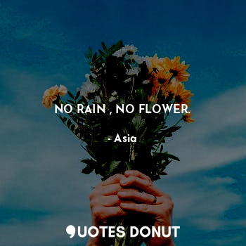  NO RAIN , NO FLOWER.... - Asia - Quotes Donut