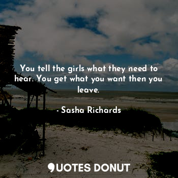  You tell the girls what they need to hear. You get what you want then you leave.... - Sasha Richards - Quotes Donut