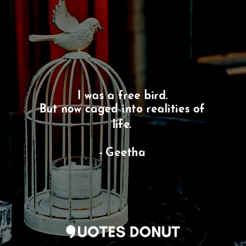  I was a free bird.
But now caged into realities of life.... - Geetha - Quotes Donut