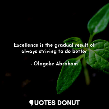  Excellence is the gradual result of always striving to do better... - Olagoke Abraham - Quotes Donut