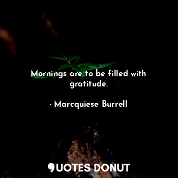 Mornings are to be filled with gratitude.