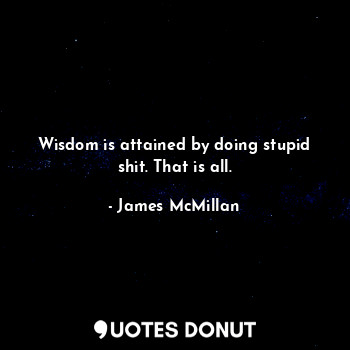 Wisdom is attained by doing stupid shit. That is all.