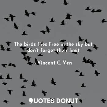 The birds flies Free in the sky but don't forget their limit