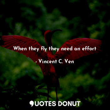  When they fly they need an effort... - Vincent C. Ven - Quotes Donut