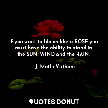 If you want to bloom like a ROSE you must have the ability to stand in the SUN, WIND and the RAIN.