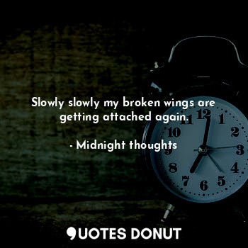  Slowly slowly my broken wings are getting attached again.... - Midnight thoughts - Quotes Donut