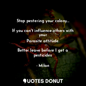 Stop pestering your colony...

If you can't influence others with your
Parasite attitude.

Better leave before I get a pesticides