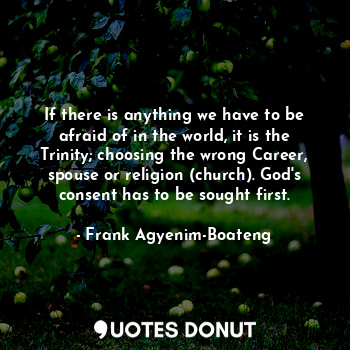  If there is anything we have to be afraid of in the world, it is the Trinity; ch... - Frank Agyenim-Boateng - Quotes Donut