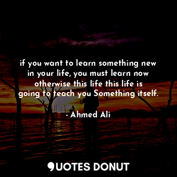 if you want to learn something new in your life, you must learn now otherwise this life this life is going to teach you Something itself.