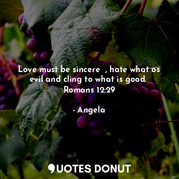 Love must be sincere  , hate what os evil and cling to what is good.  Romans 12:29