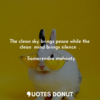 The clean sky brings peace while the clean  mind brings silence  .