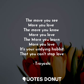 The more you see
More you love 
The more you know 
More you love
The More you learn
More you love
It's your undying habbit
That you can't stop love