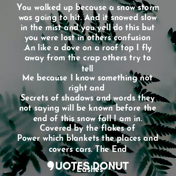  You walked up because a snow storm was going to hit. And it snowed slow in the m... - Lashes - Quotes Donut