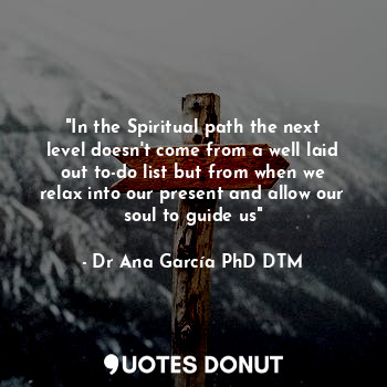 "In the Spiritual path the next level doesn't come from a well laid out to-do list but from when we relax into our present and allow our soul to guide us"