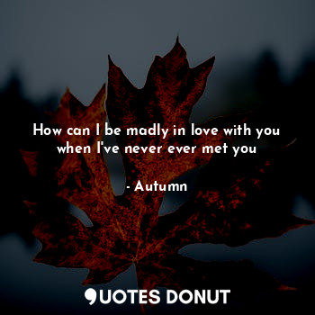  How can I be madly in love with you when I've never ever met you... - Autumn - Quotes Donut