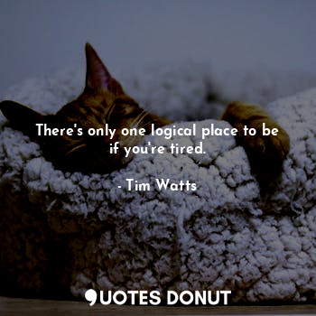  There's only one logical place to be if you're tired.... - Tim Watts - Quotes Donut